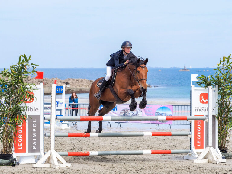 Compétition équine