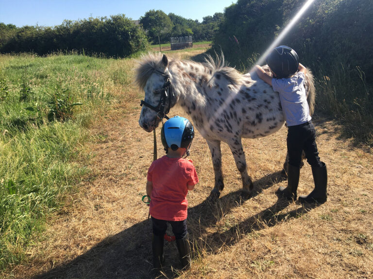 Randonnée à cheval